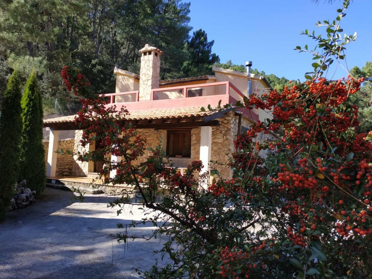 Concha Holiday home