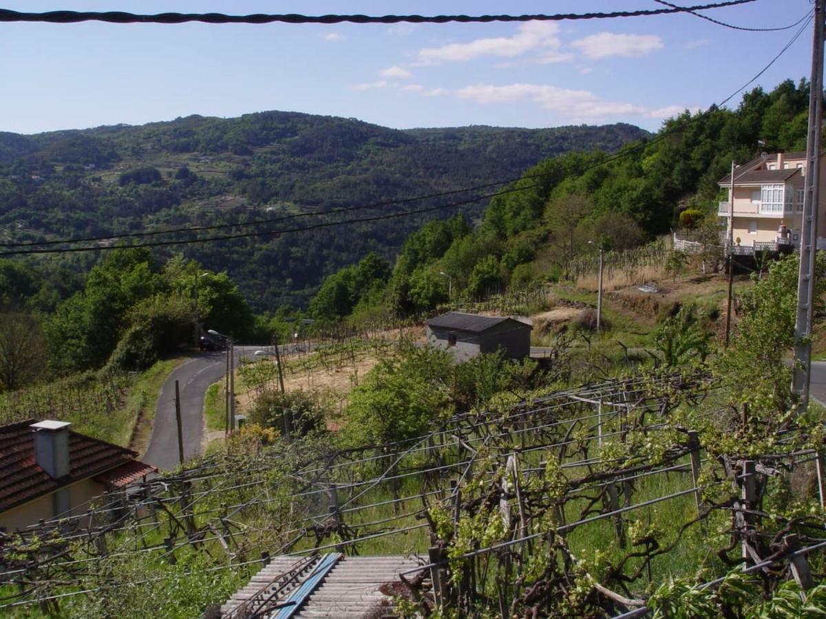 Сasa de vacaciones Casa En Ribeira Sacra Vinoas