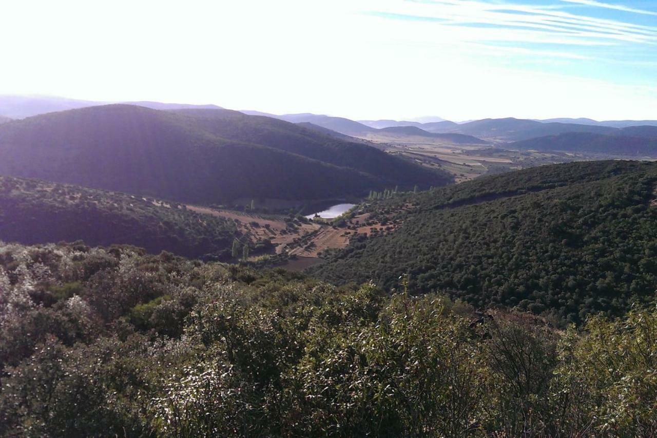 Villa El Gallo Los Cortijos