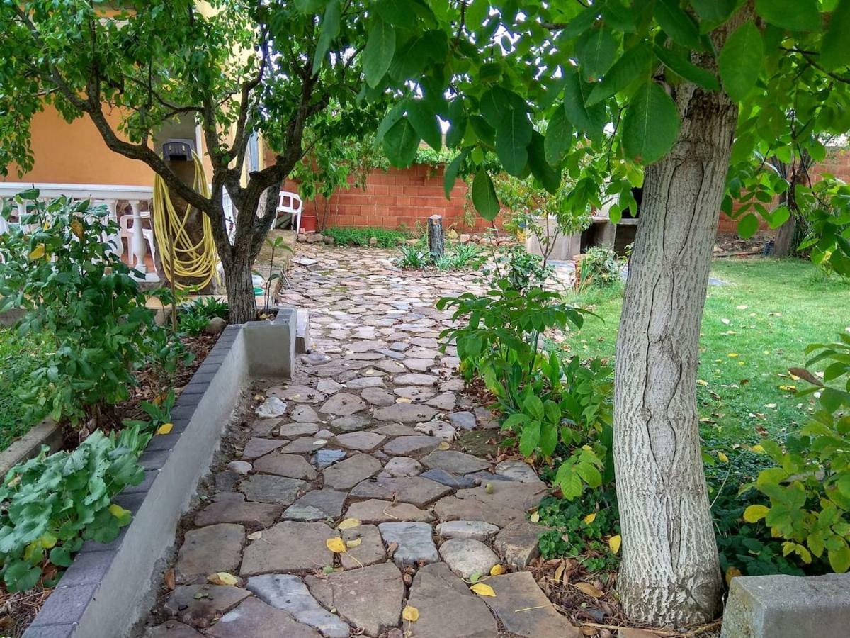 Villa El Gallo