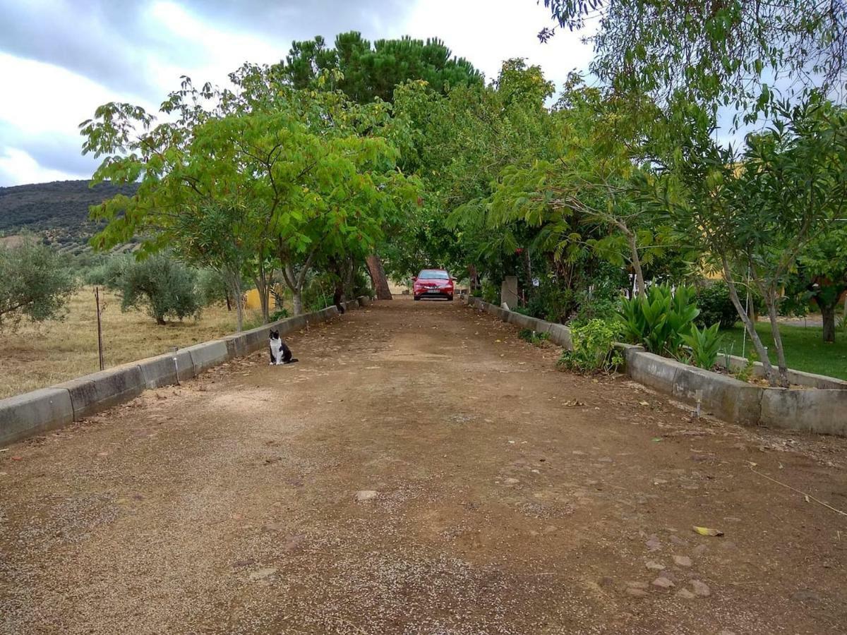 El Gallo Villa Los Cortijos