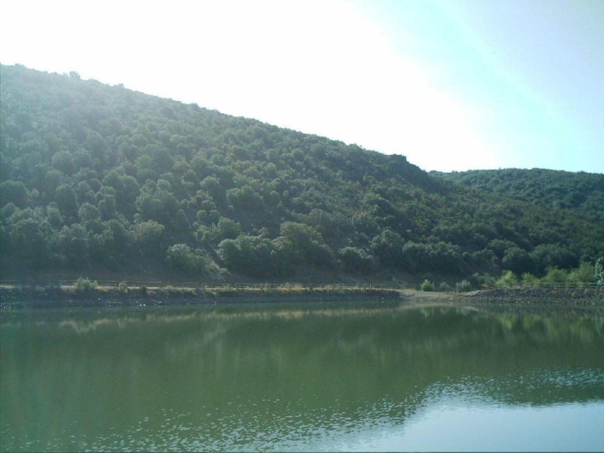 Villa El Gallo *
