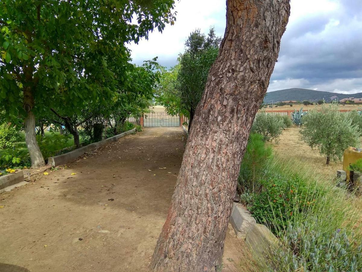 El Gallo Villa *