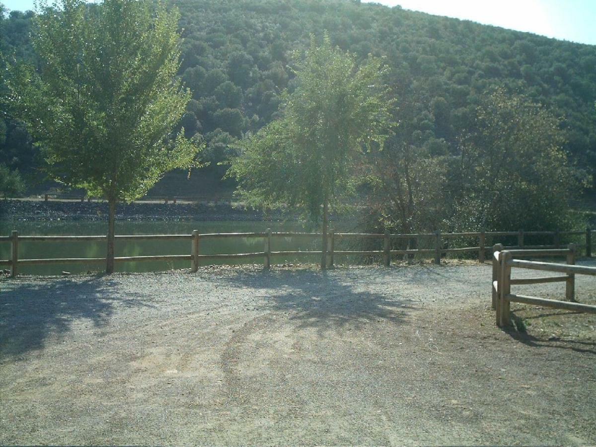 El Gallo