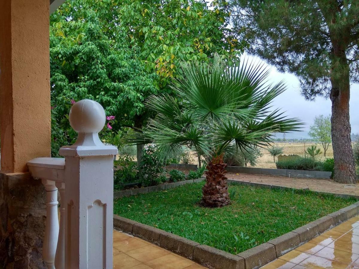 El Gallo Villa Los Cortijos