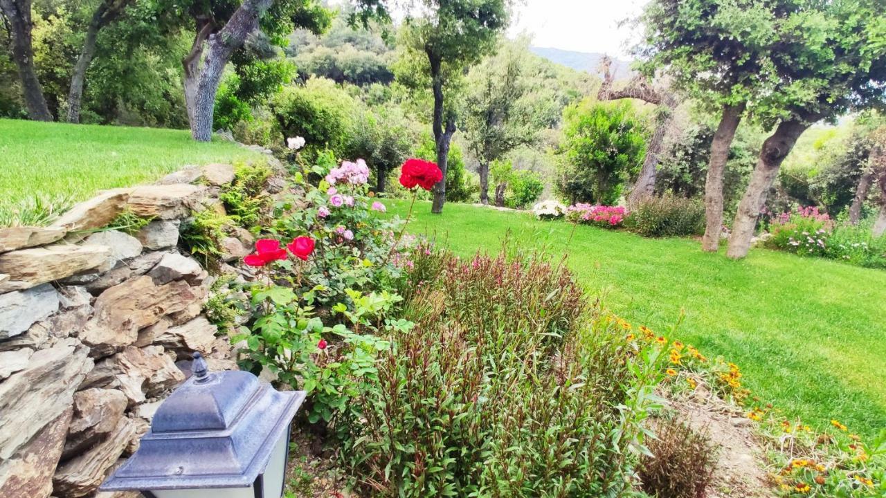 Сasa de vacaciones Els Refugis Del Montseny Cal Somni San Pedro de Vilamajor