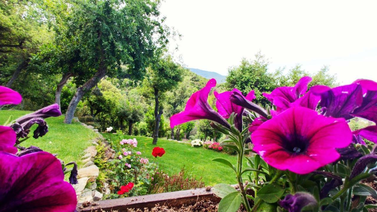 Els Refugis Del Montseny Cal Somni Сasa de vacaciones