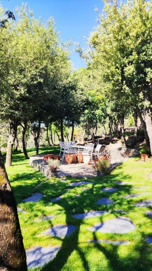 Сasa de vacaciones Els Refugis Del Montseny Cal Somni