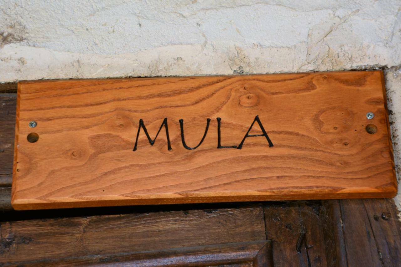 Abuela Tina Holiday home *