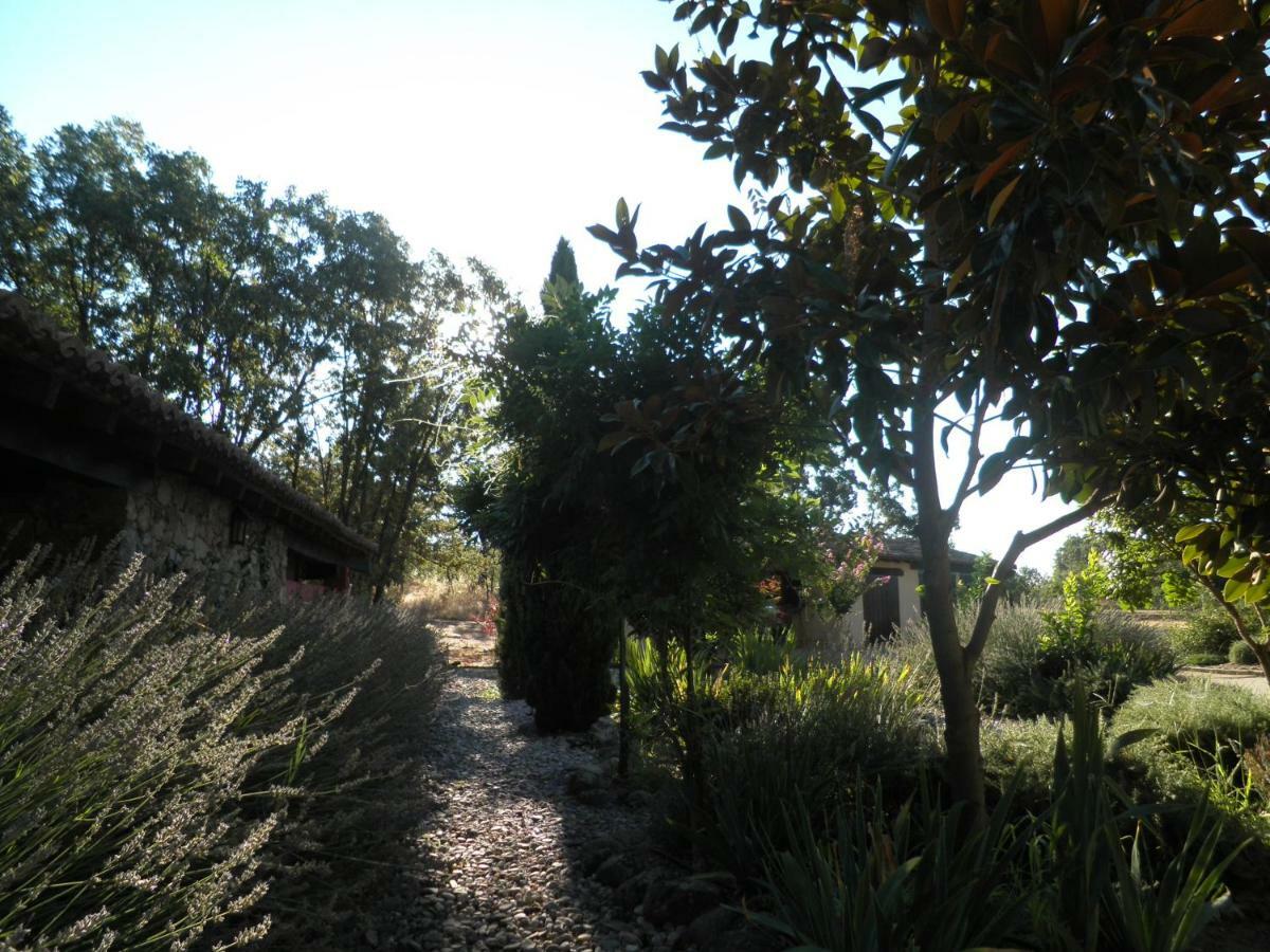Rural Casa Alfayales-only Adults 3* Poyales Del Hoyo