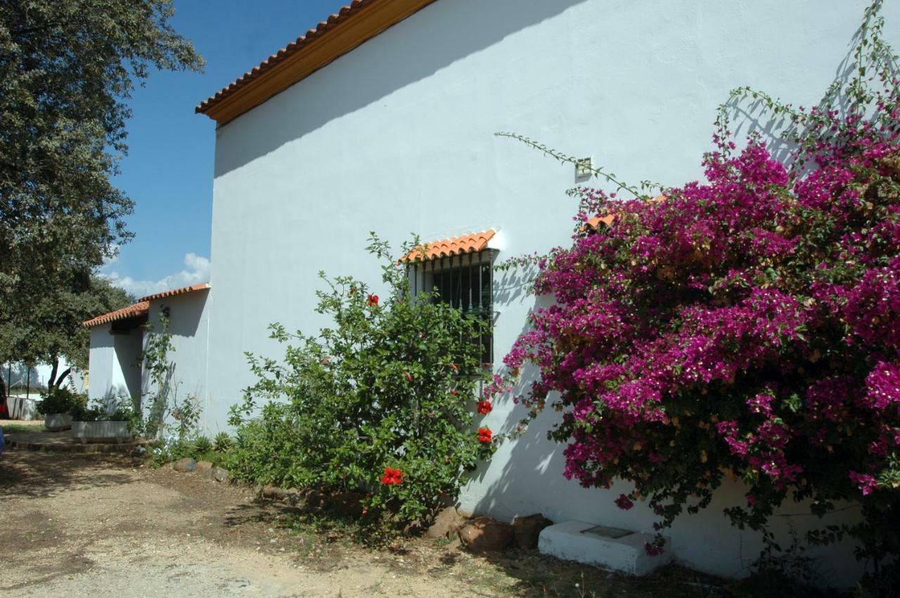 El Romerito *