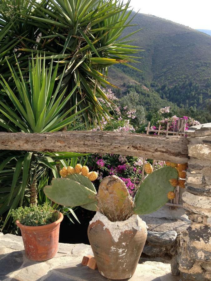 Country house Rincon De Jaramuza *
