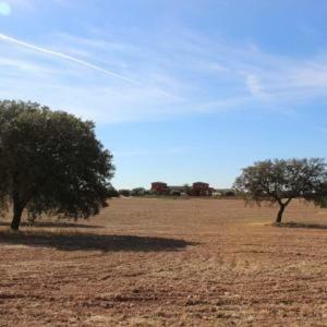 Mentideros Casa rural *