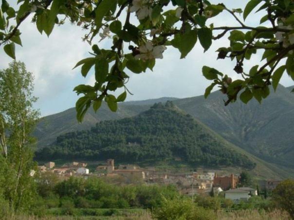 Casa rural Celtia Aguilar del Río Alhama