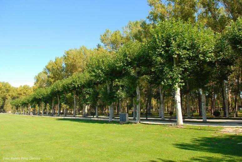 Apartamento Vivienda Uso Turistico El Vie *