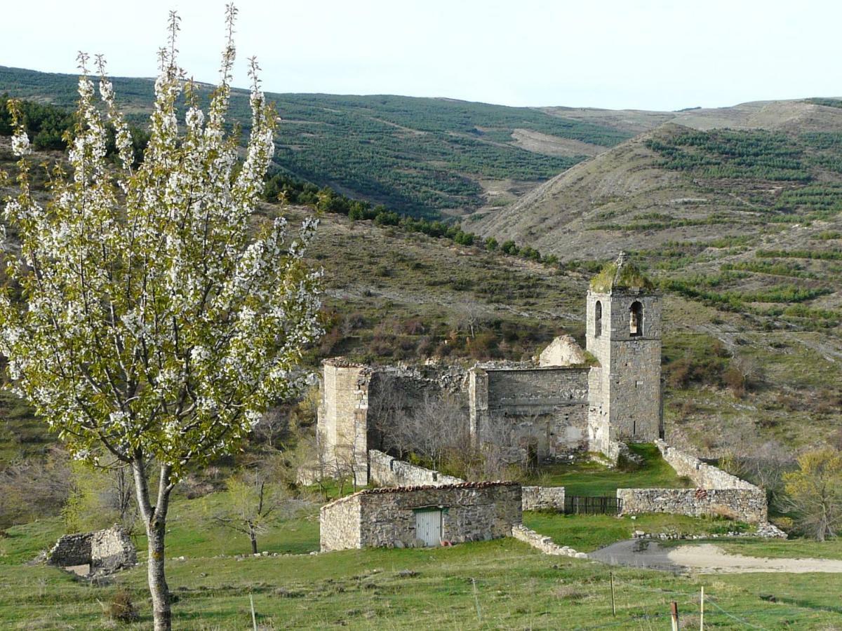 La Colmena Country house Navalsaz