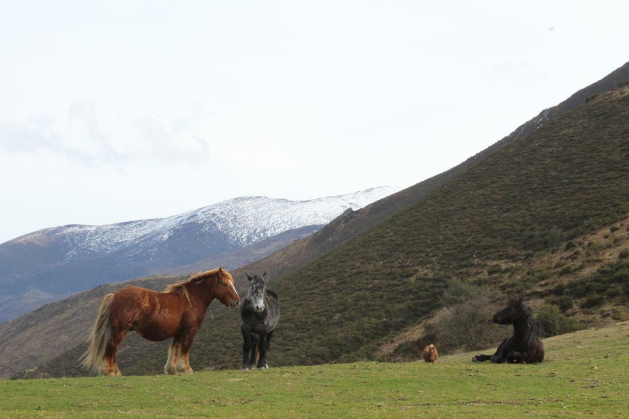 San Antonio De Garabandal *