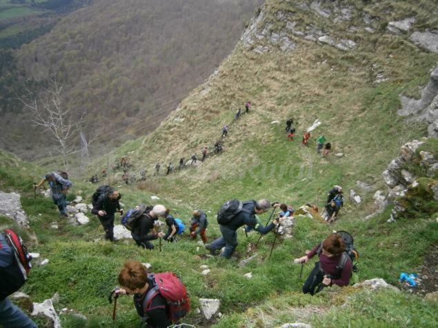 El Txakoli Amurrio