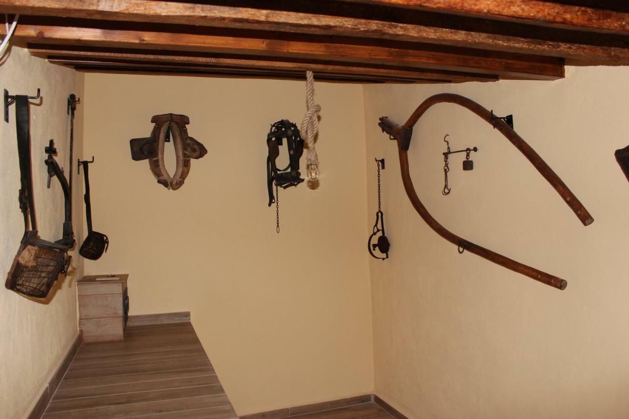 Ca Felicitat Holiday home