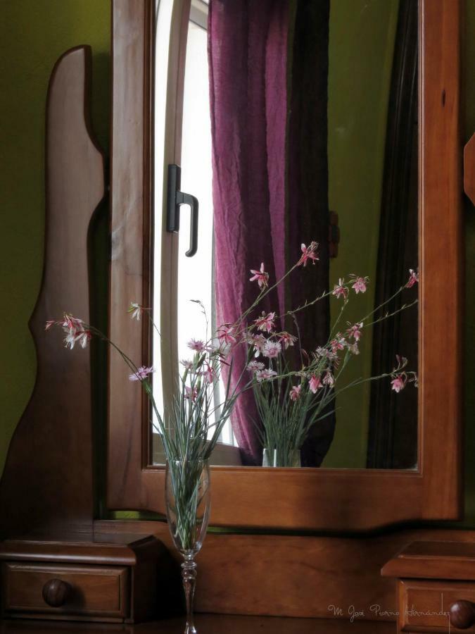 La Casa De La Lluna El Poblenou del Delta