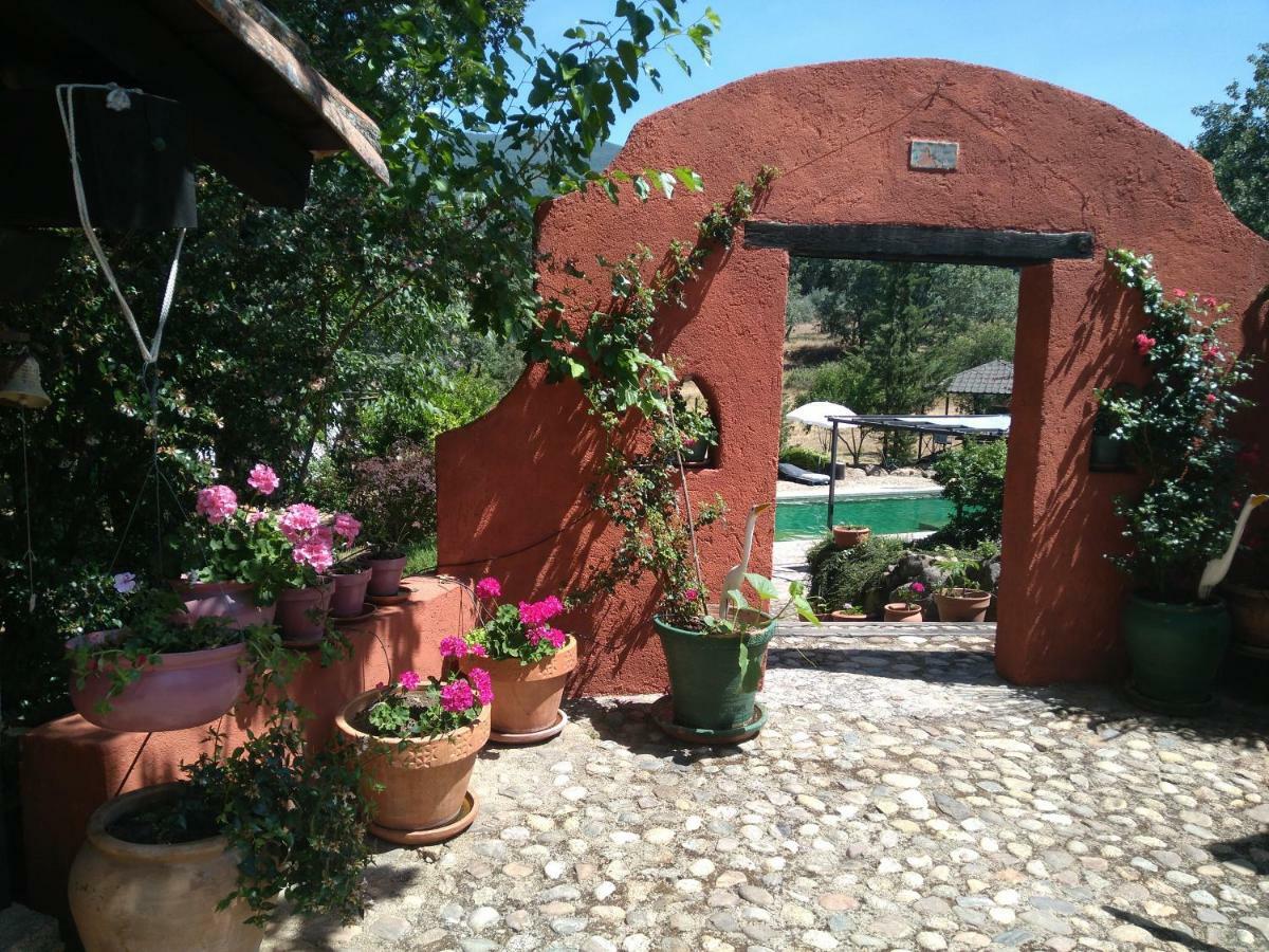 Bed & Breakfast Rural Casa Alfayales-only Adults 3*