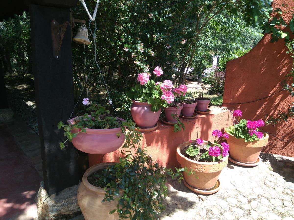 Rural Casa Alfayales-only Adults 3*
