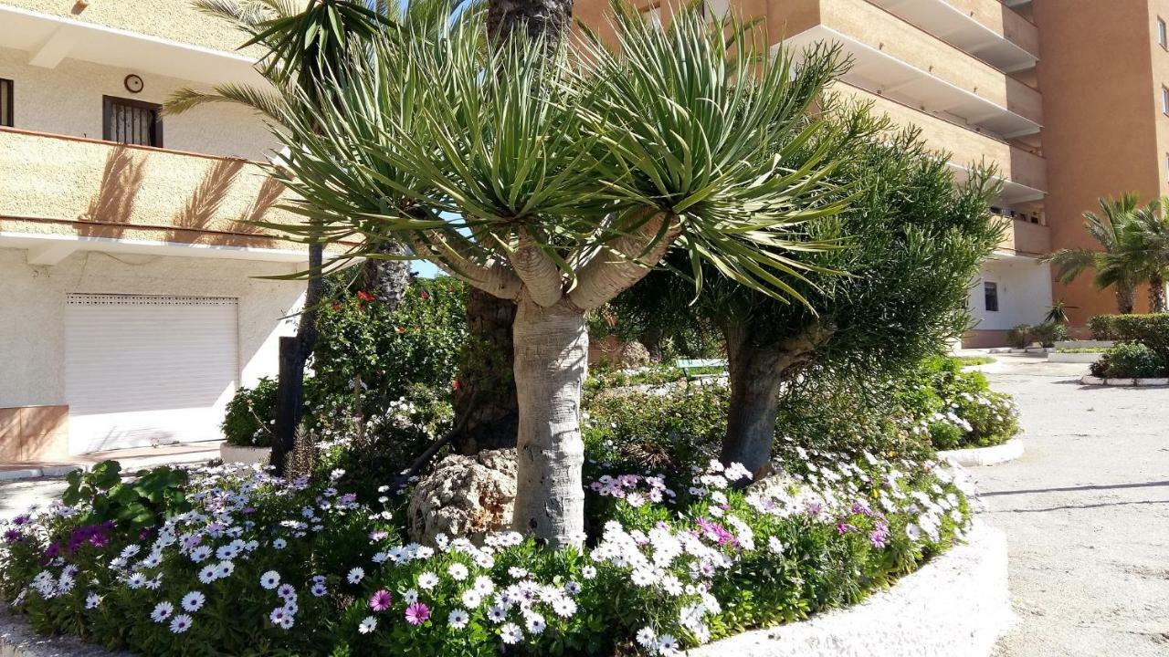 Studio Bellavista Apartamento La Mata (Torrevieja)