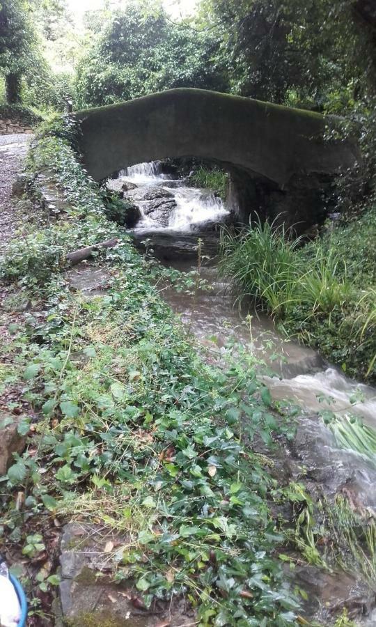 Aya I Linares de la Sierra