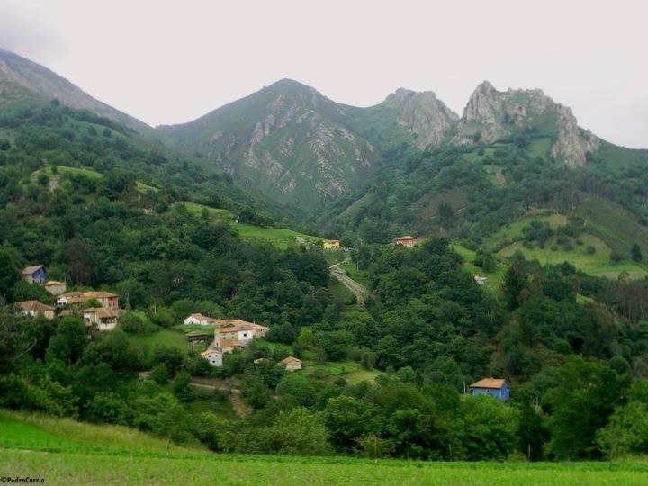 El Cantiellu Country house Zardon