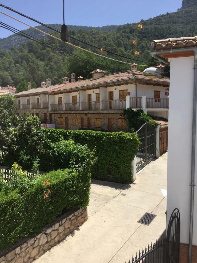 Rural Olivos *