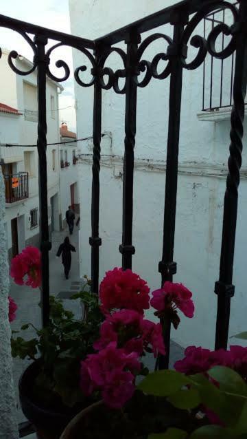 La Casa De La Acequia *