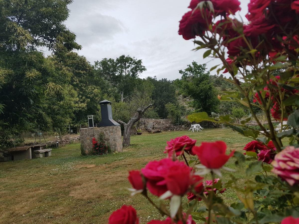 El Castano Holiday home