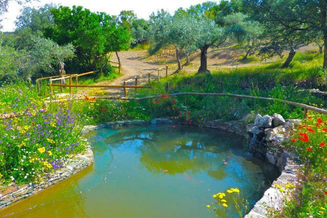 Country house Casa Rural Las Animas Madronera