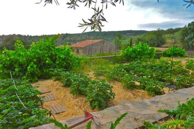 Casa Rural Las Animas Country house *