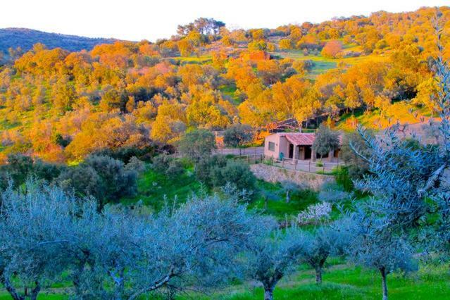 Casa rural Casa Rural Las Animas Madroñera