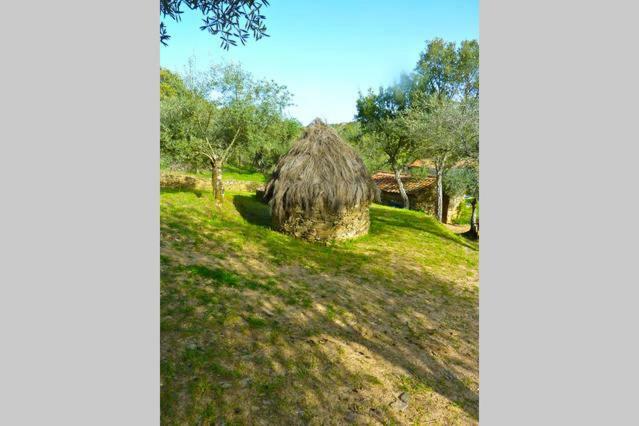 Country house Casa Rural Las Animas Madronera