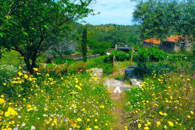 Casa Rural Las Animas Country house *