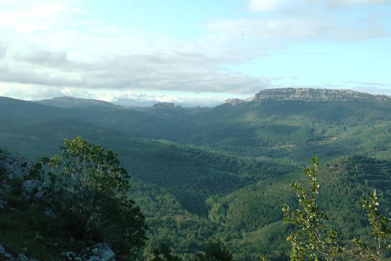 Casaturzo Turzo