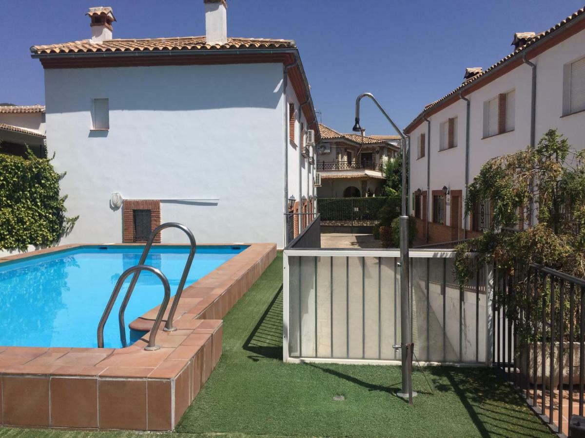Rural Olivos