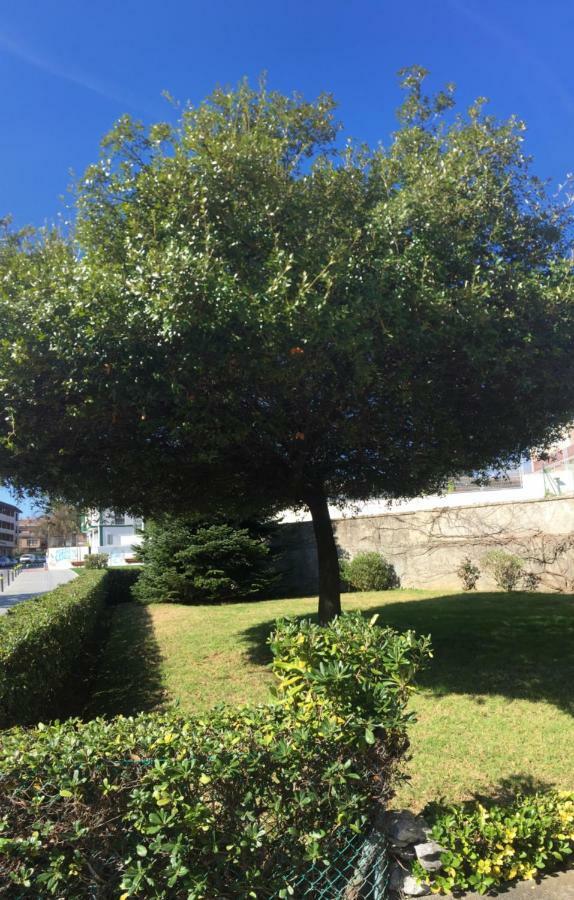 Getxo, Parking, Wifi, Metro Getxo