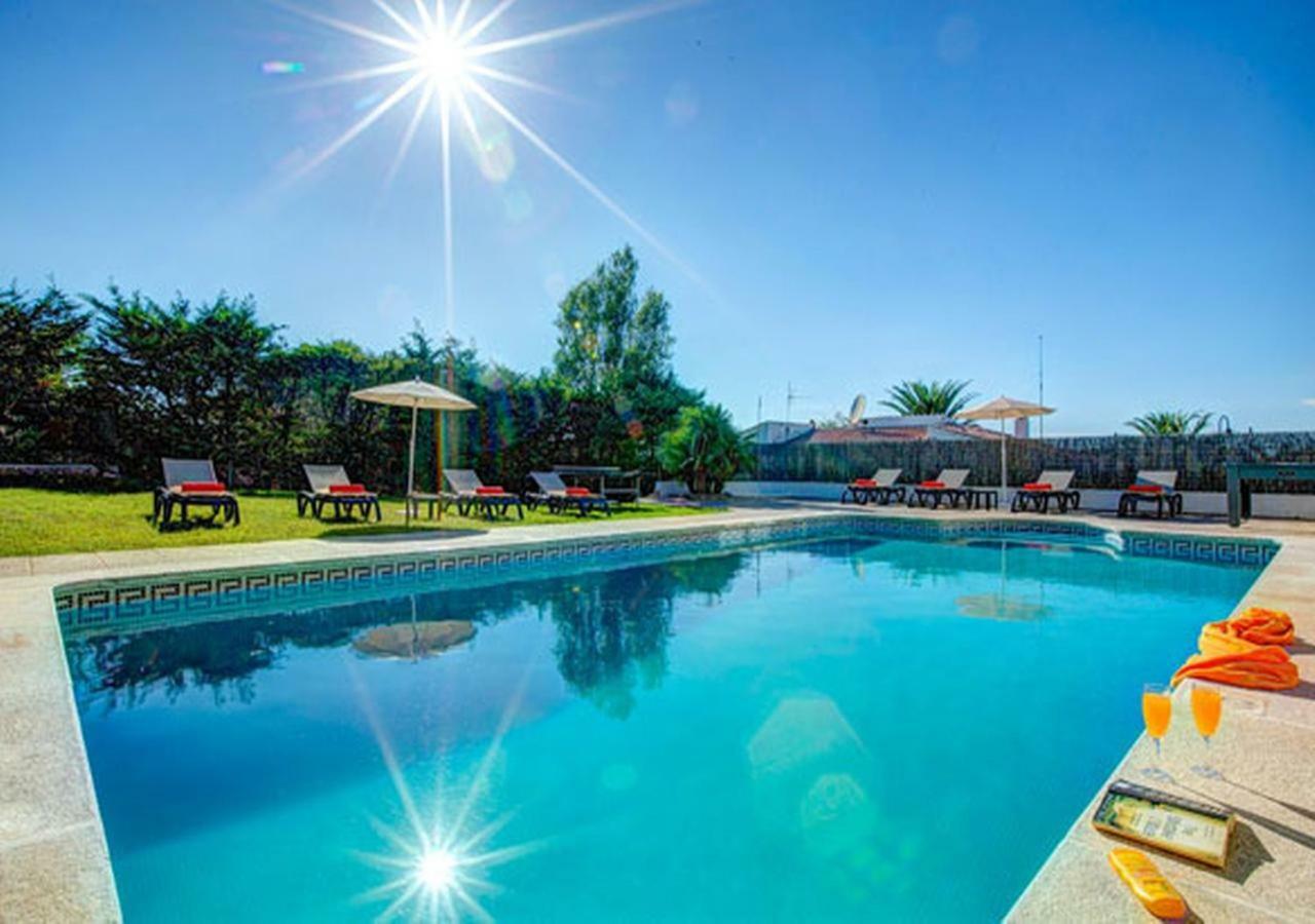 Sargantana Negra Villa Binibeca