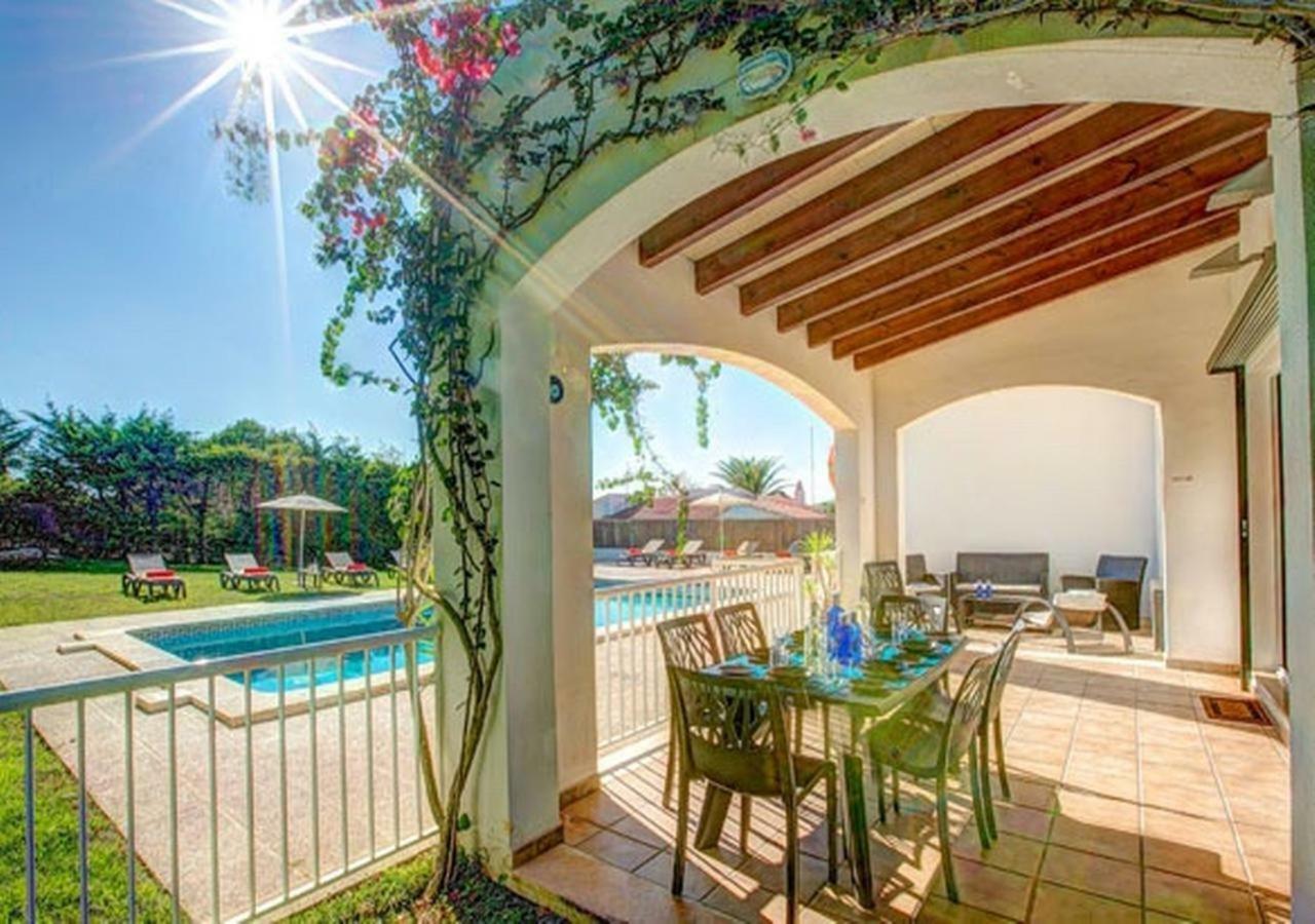 Sargantana Negra Villa