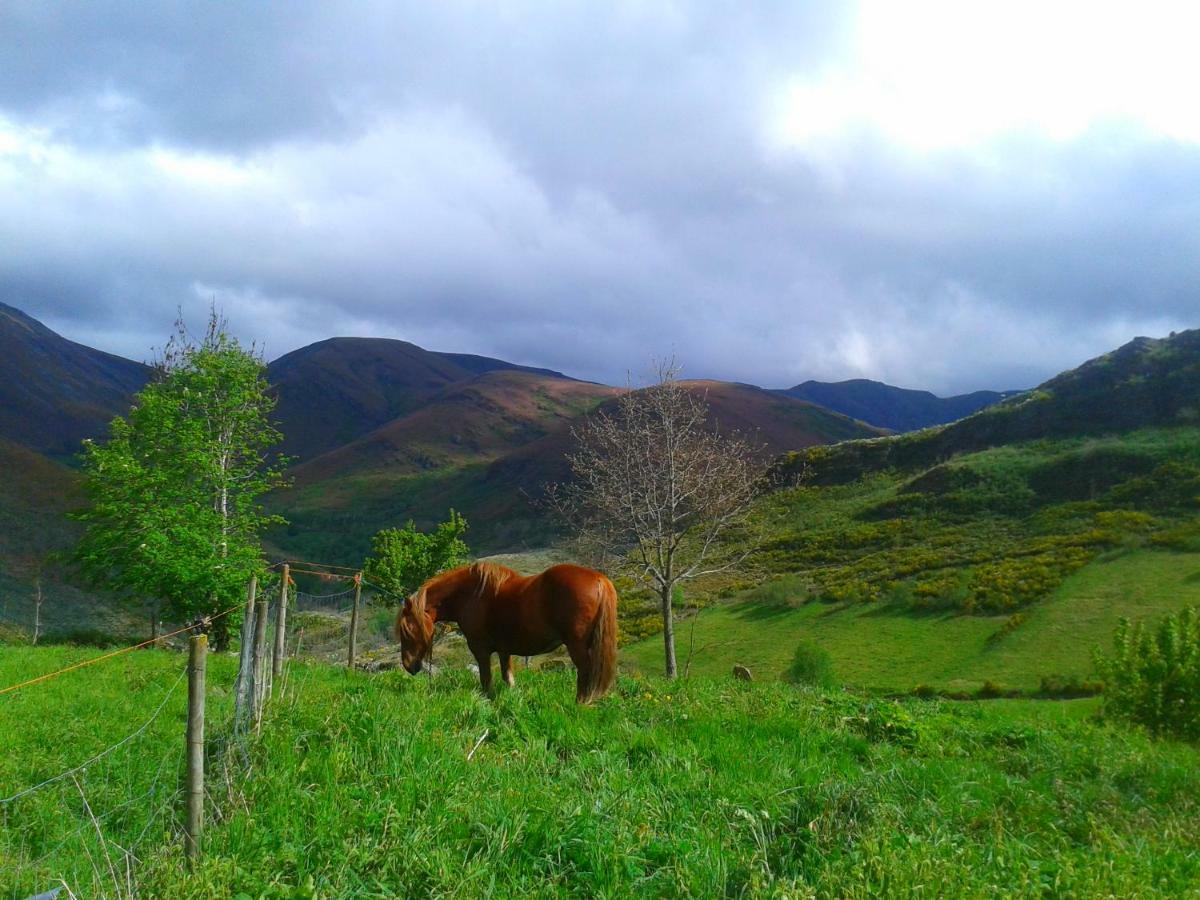 Country house Las Casitas De