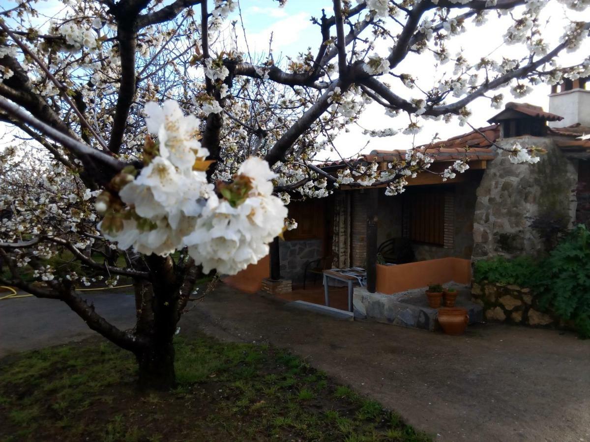 Mirador Cotos Country house Torremenga