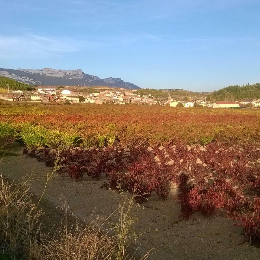 Country house Larrain Etxea Banos de Ebro