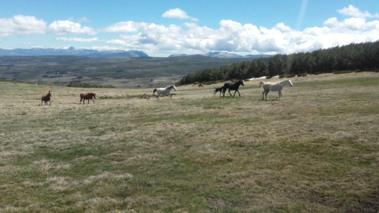 Country house Arroyos *