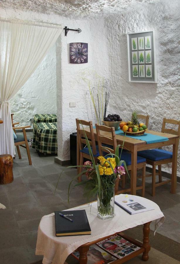 Casa-cueva Alta Country house Juncalillo