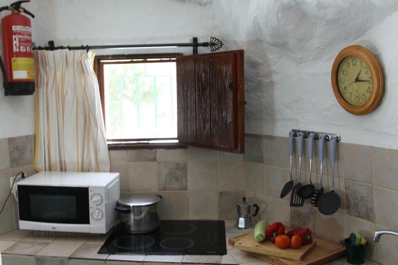 Casa-cueva Alta Country house