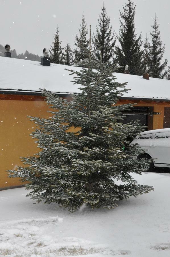 Casa En La Molina Сasa de vacaciones *