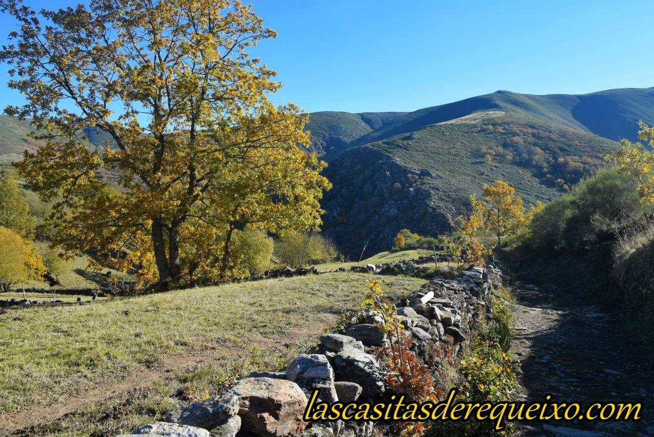 Country house Las Casitas De Requeixo